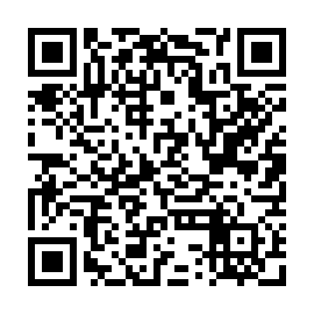 QR code for DSD370