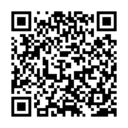 QR code for DSE734