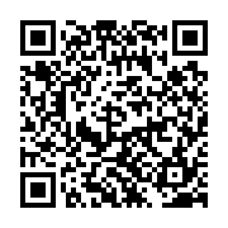 QR code for DSG734