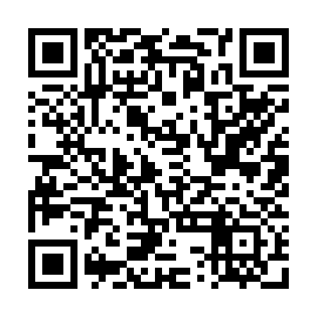 QR code for DSI233