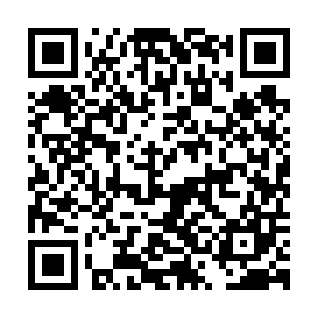 QR code for DSI607