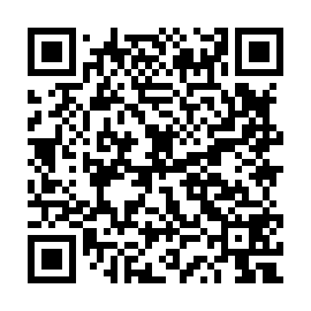 QR code for DSI858