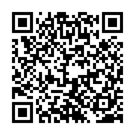 QR code for DSM850
