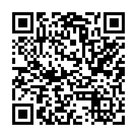 QR code for DSO201