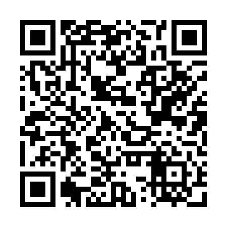 QR code for DSP141