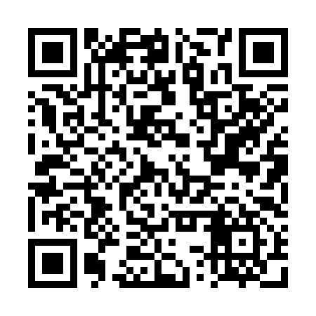 QR code for DSP397