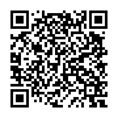 QR code for DSP466