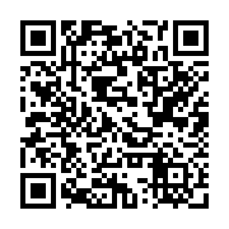 QR code for DSS371