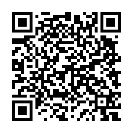 QR code for DST420