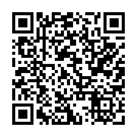 QR code for DST483