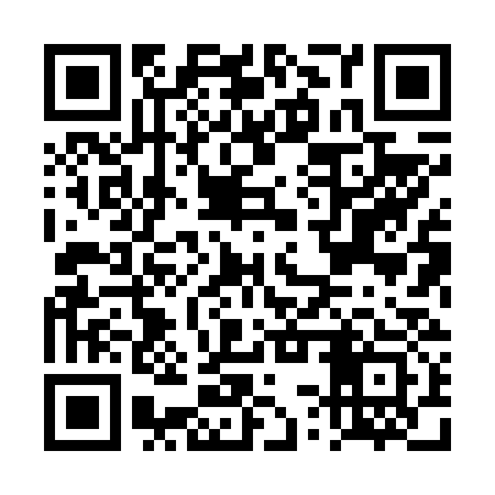 QR code for DSX633