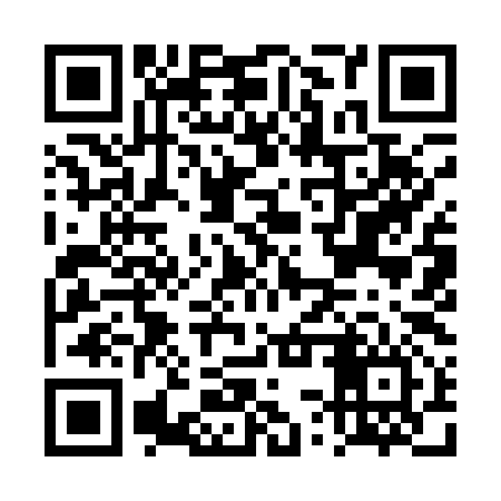 QR code for DSY196