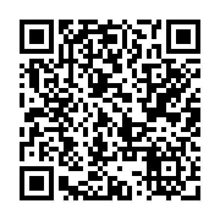 QR code for DSY307
