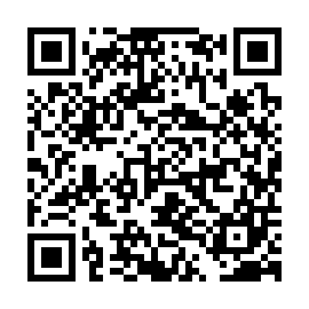 QR code for DTI307