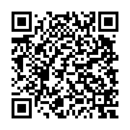 QR code for DUD419