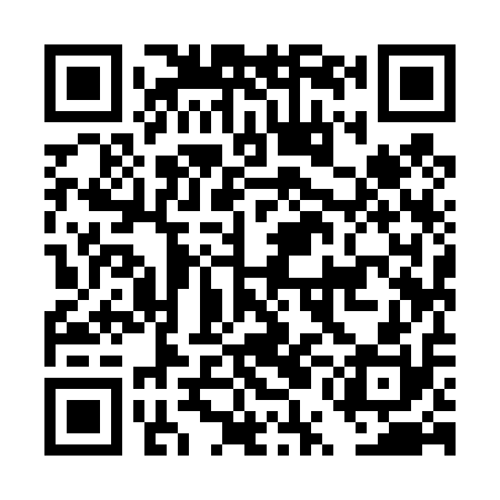 QR code for DUI410