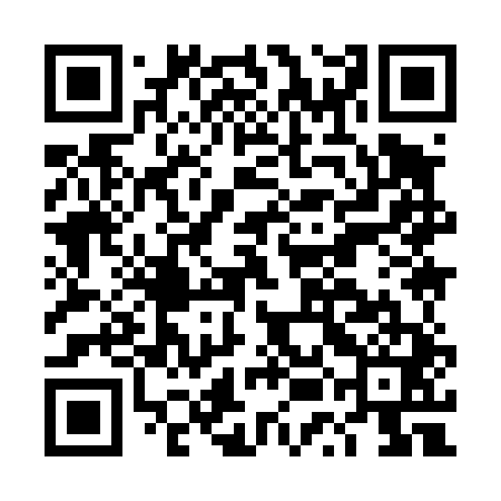 QR code for DUI441
