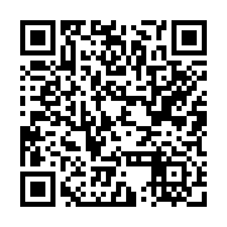 QR code for DUO313