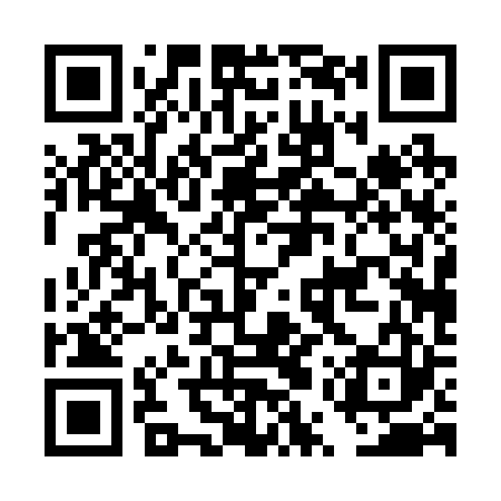 QR code for DUP223