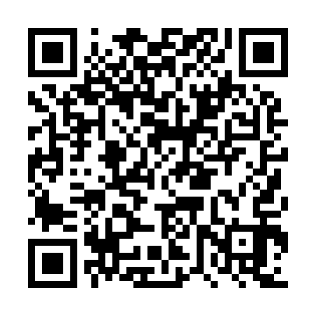 QR code for DVP913
