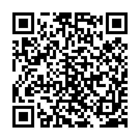 QR code for DVS493