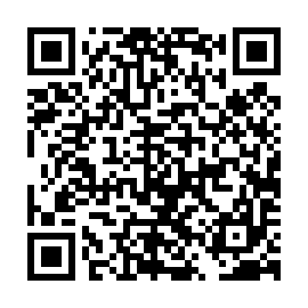 QR code for DVT497