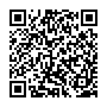 QR code for DWS393