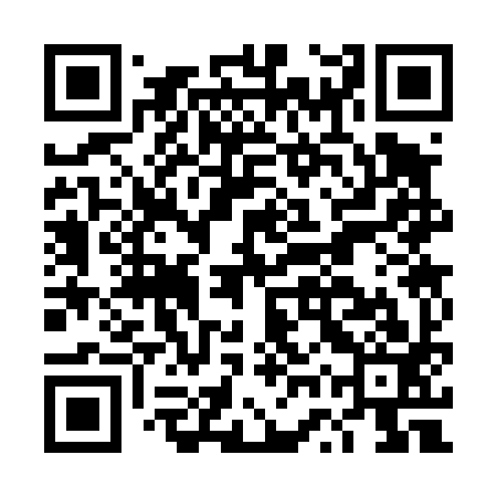 QR code for DWS493