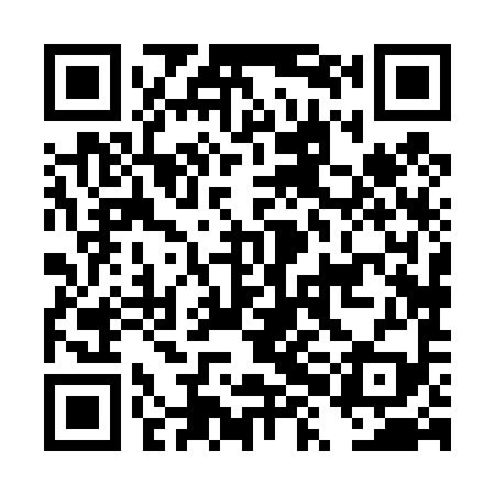 QR code for DXH499