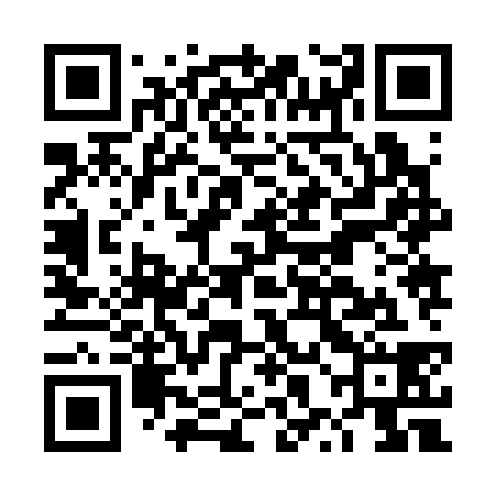 QR code for DXJ338