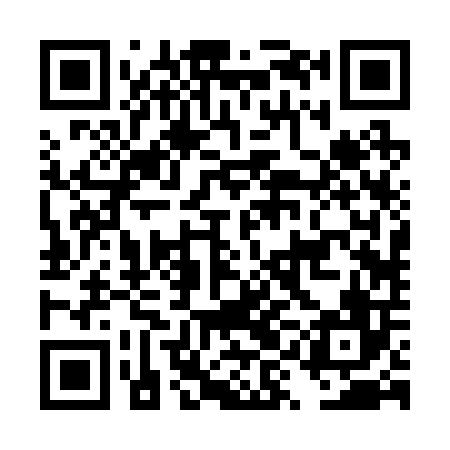 QR code for DYB206