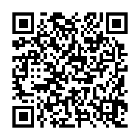 QR code for DYI384