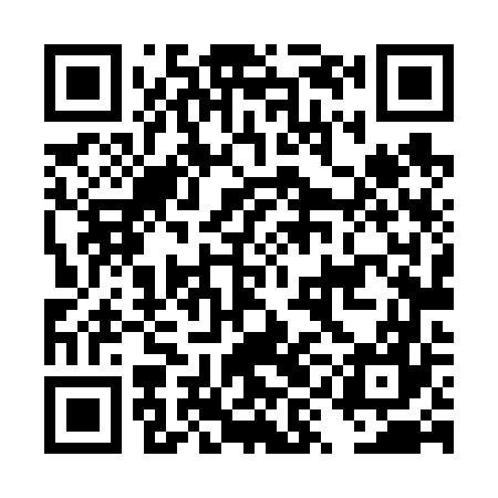 QR code for DYL667