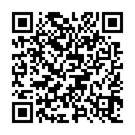 QR code for DYN711
