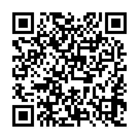QR code for DYN959