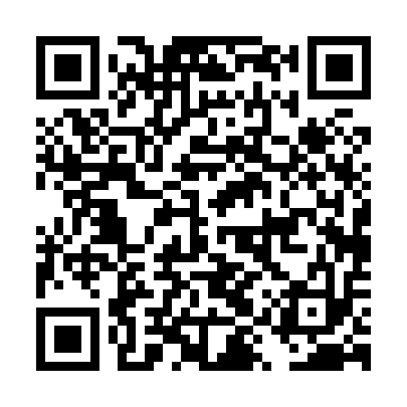 QR code for DYP813
