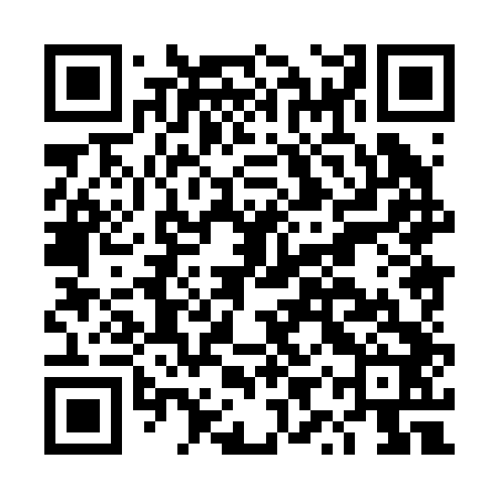 QR code for DYX242