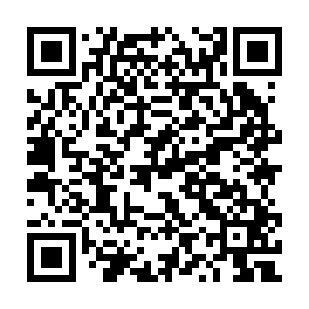QR code for DYY241