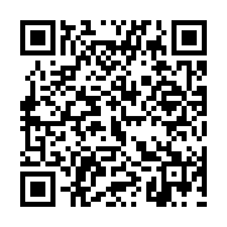 QR code for DYY381