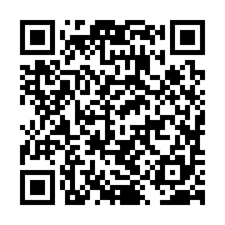 QR code for DYZ395