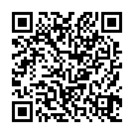 QR code for DZH220