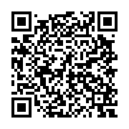 QR code for DZI041