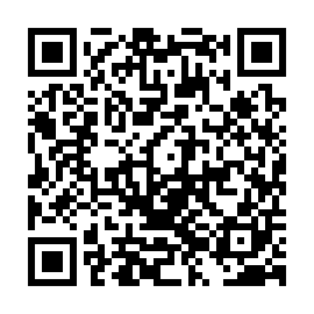 QR code for DZI300
