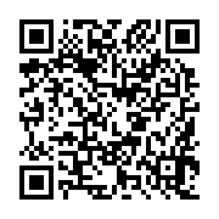 QR code for DZI394