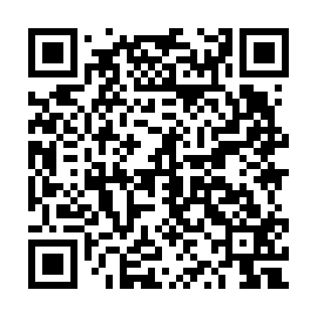 QR code for DZI613