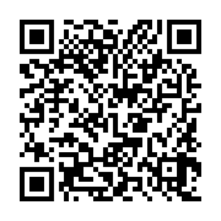 QR code for DZL988