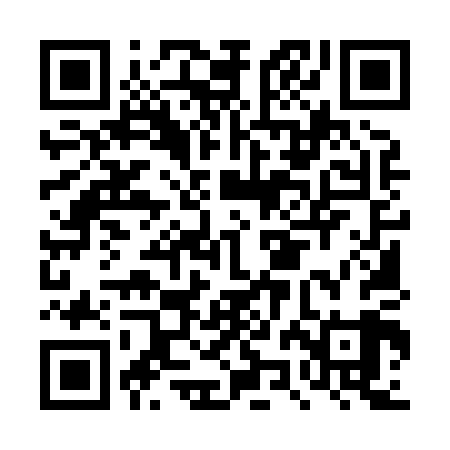 QR code for DZM809