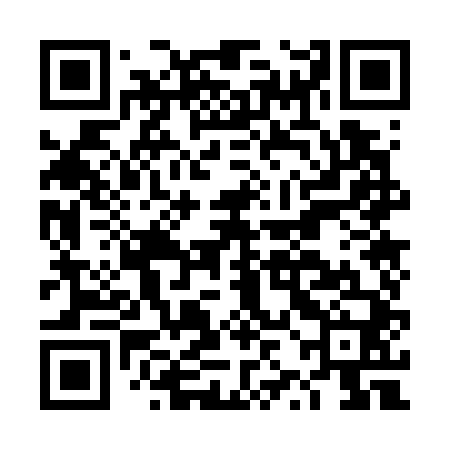QR code for DZO740