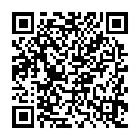 QR code for DZP395