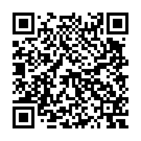 QR code for DZP413
